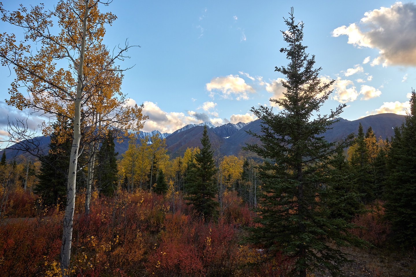 Aussicht von Montana aus