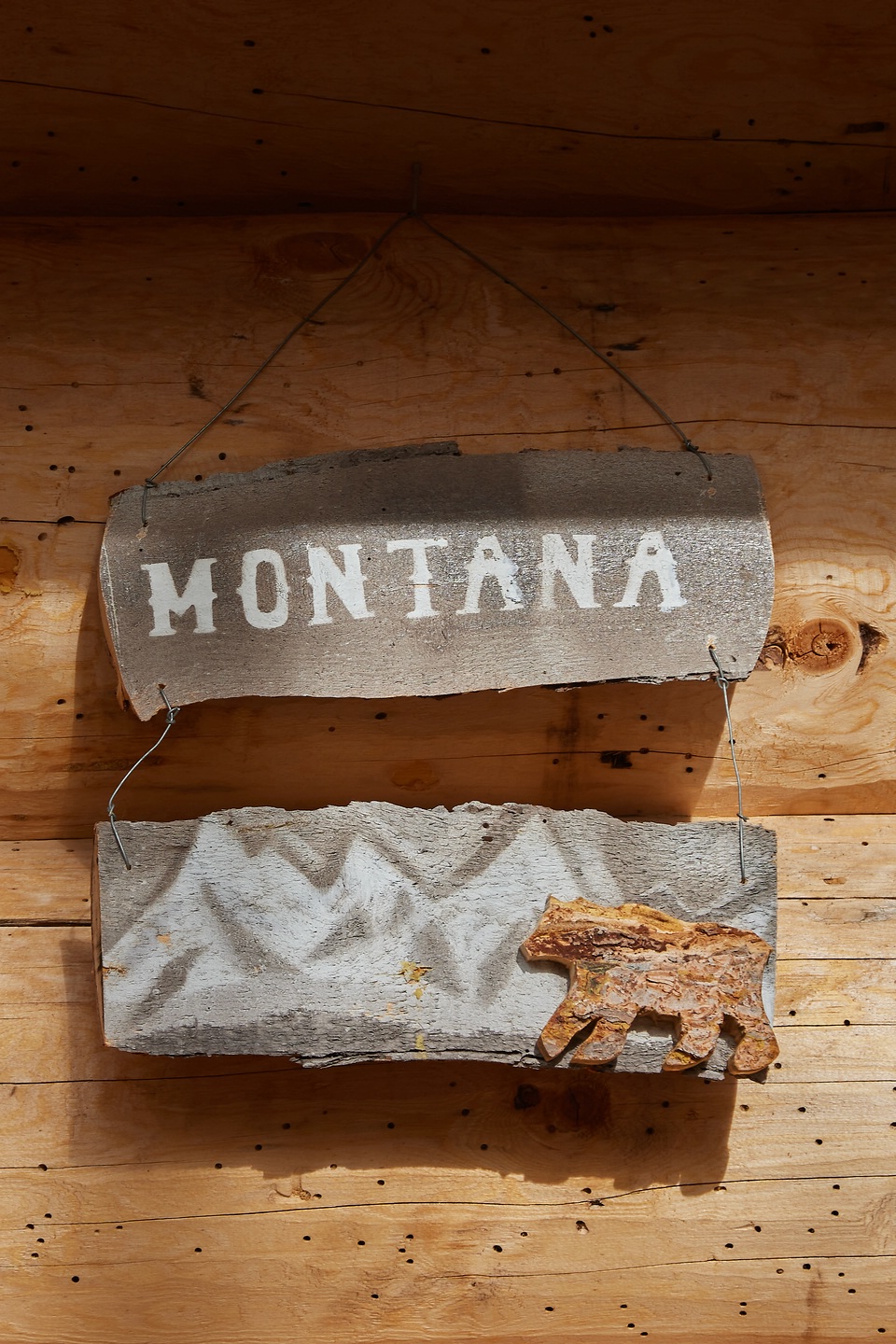 Blockhütte Montana