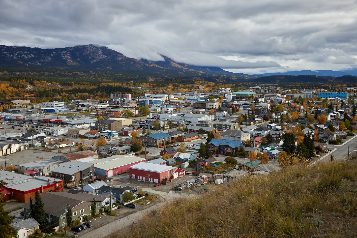 Whitehorse