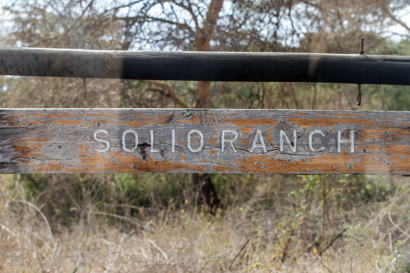 Solio Ranch