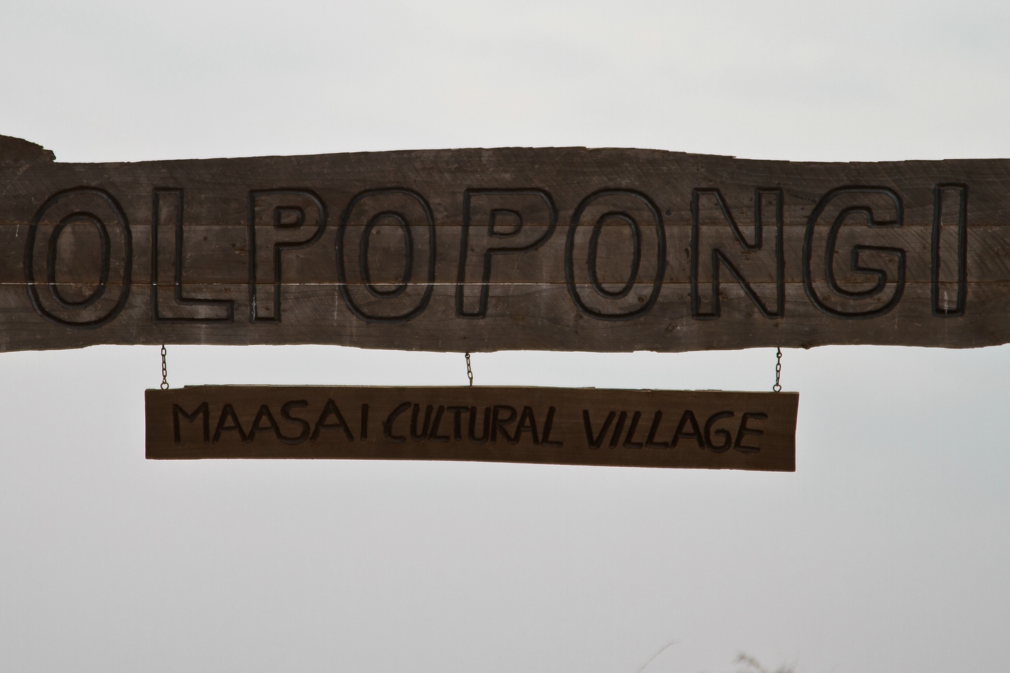 Olpopongi